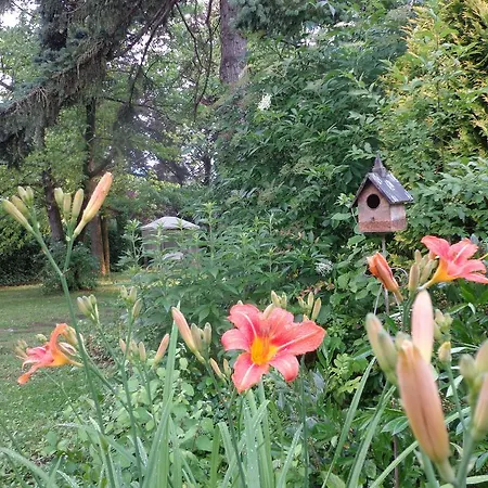 Bed and Breakfast Satori B&B - Adults Only 3*